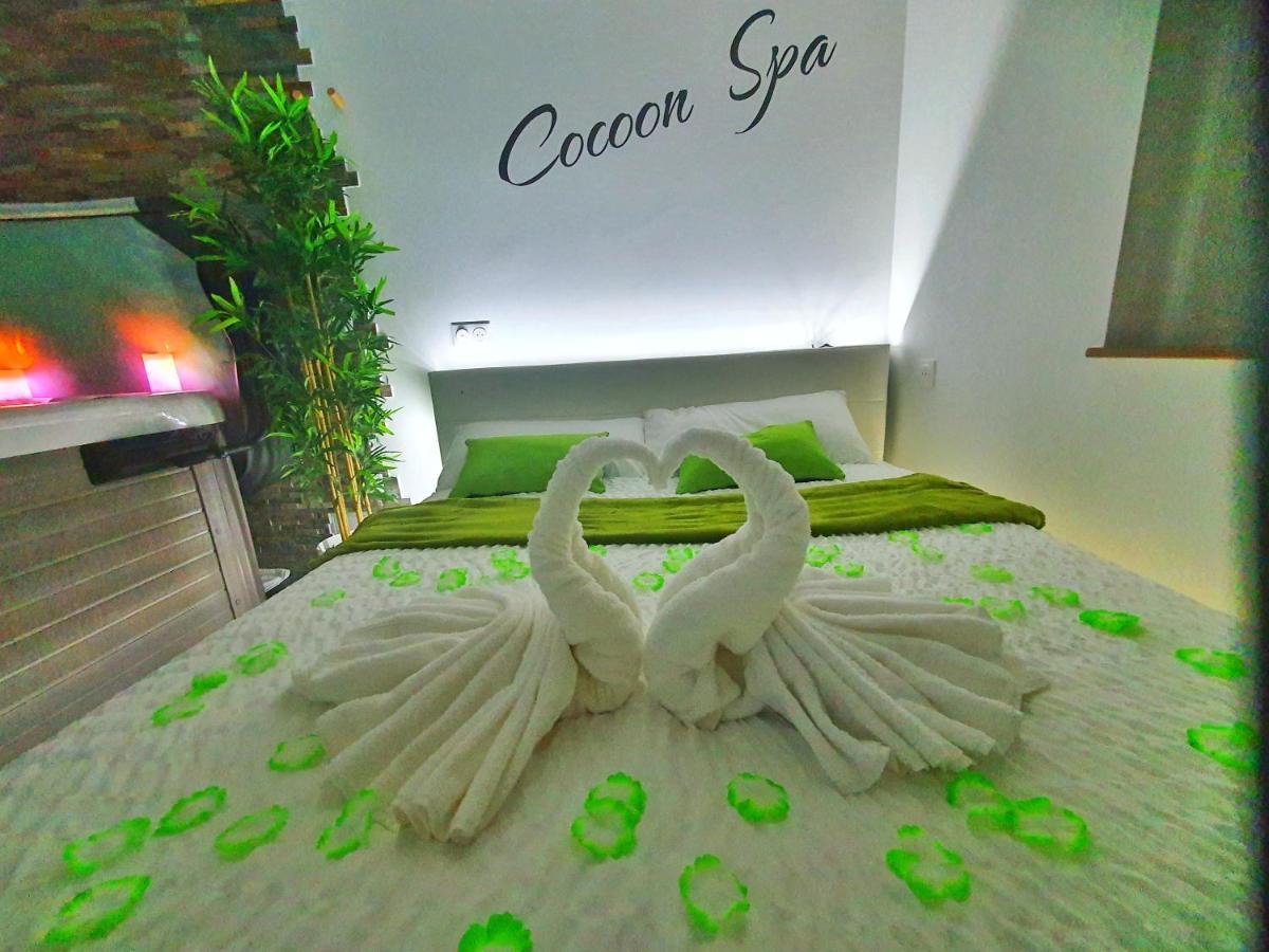 -Gite Cocoon Spa-Jacuzzi-Jardin-Parking Prive-Climatisation Holtzwihr 외부 사진